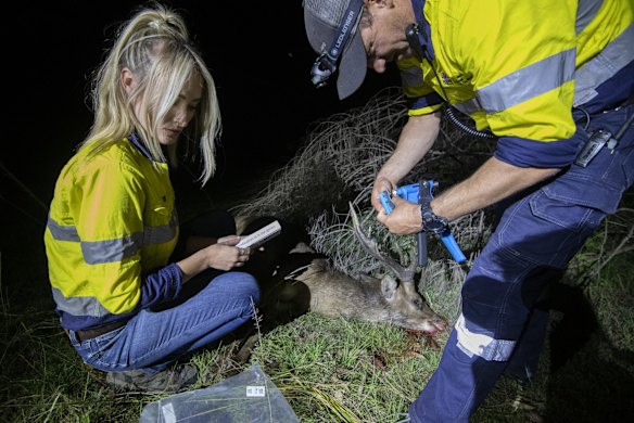 From left, Annaliese Geddes and Lee Parker take DNA swabs.