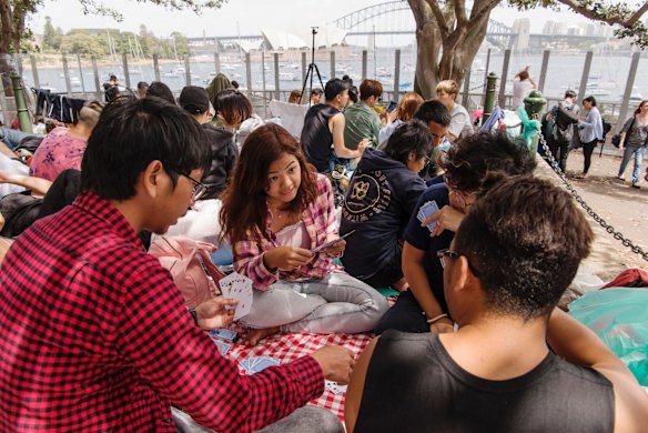 People stake their claim early in the day at Mrs Macquaries Chair.