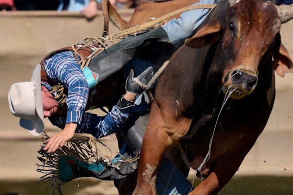 Lang Lang rodeo