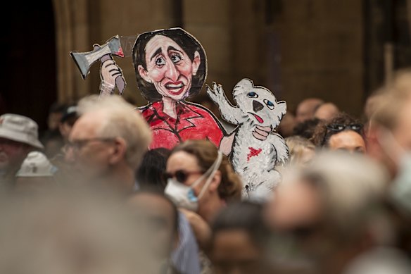 Around 20,000 people gathered at a Extinction Rebellion climate demonstration at Town Hall on Wednesday.
