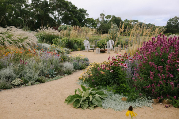 Jo Ferguson’s garden is like a magical grassland.