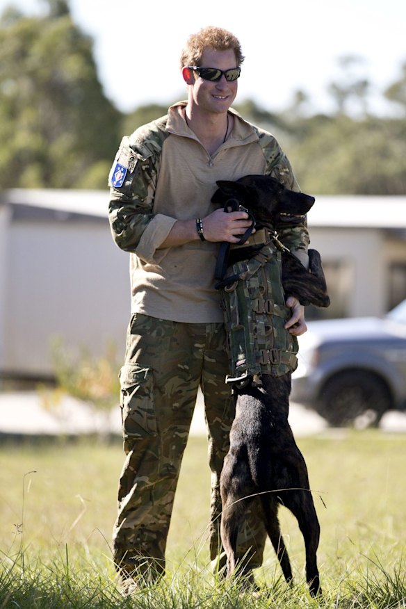 With a military working dog during a counter-terrorism exercise.