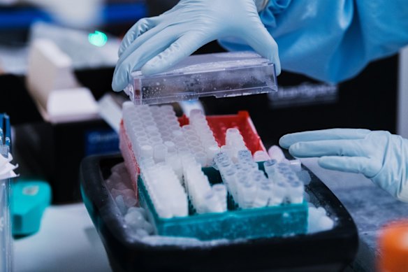 The Kirby Institute lab, originally built to study blood-borne diseases was rapidly upgraded to deal with COVID-19 and hopes to become Australia’s variant sentinel.