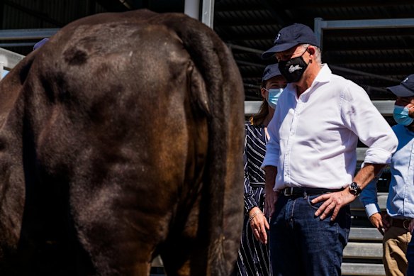 Albanese's dislike for carefully choreographed stunts for photographers and TV crews could deny him the type of momentum-building colour-and-movement a leader and his campaign staff chase during an election.