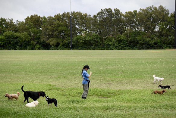 The alcohol and drug rehabilitation facilities of WHO (We Help Ourselves) within the confines of Callan Park in Roselle. The extensive gardens and areas are utilised by patients for their therapy and healing.