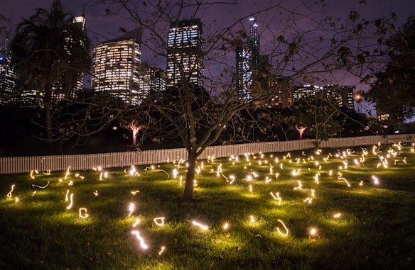 Vivid in the Royal Botanic Gardens.