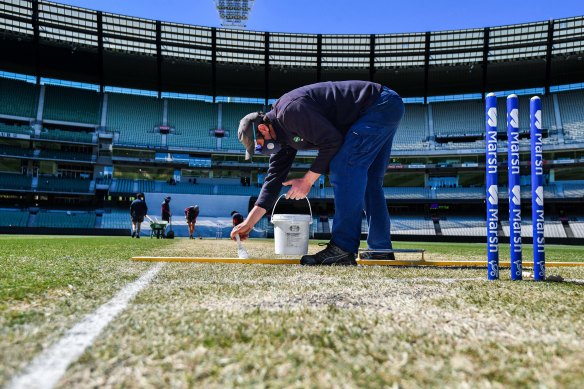 MCG curator Matt Page hopes to avoid a repeat of the “average” rating去年给了他的测试场地。” loading=