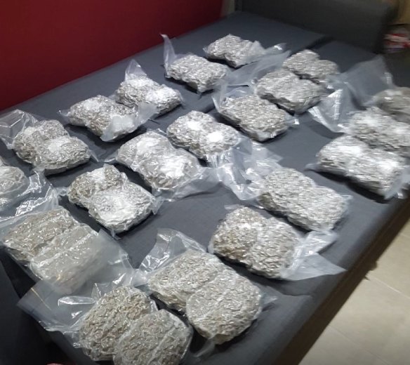 Police seize and destroy more than $5 million of drugs bound for schoolies celebrations during week-long raids across Queensland.