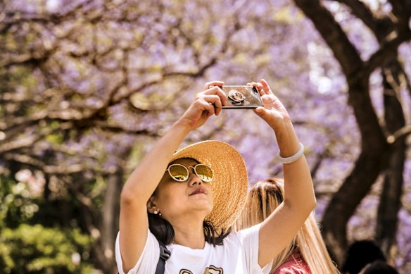 Selfie time in Kirribilli.