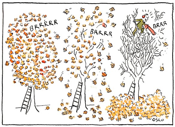 Best of Fairfax cartoons, October 4