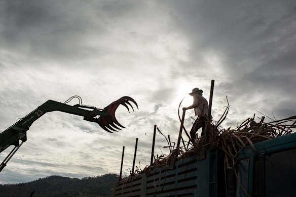 Machinary is used to load the trucks with sugar cane. Phnom Penh Sugar plantation. Omliang, Kampong Speu, Cambodia.