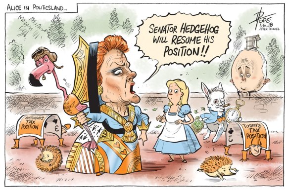 The Canberra Times editorial cartoon for June 1, 2018. Cartoon by David Pope.
