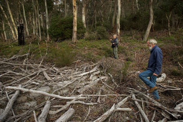 Chris Jonkers and Julie Favell of the Lithgow Environment Group inspect the East Wolgan swamp.