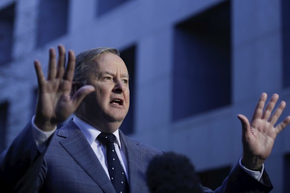Opposition Leader Anthony Albanese addresses the media during a doorstop interview at Parliament House in Canberra.