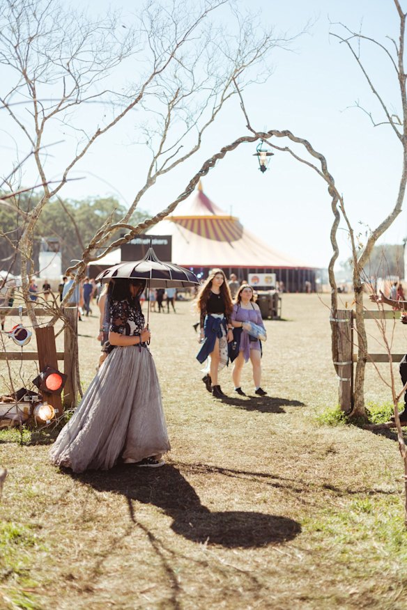 General scenes from the festival.