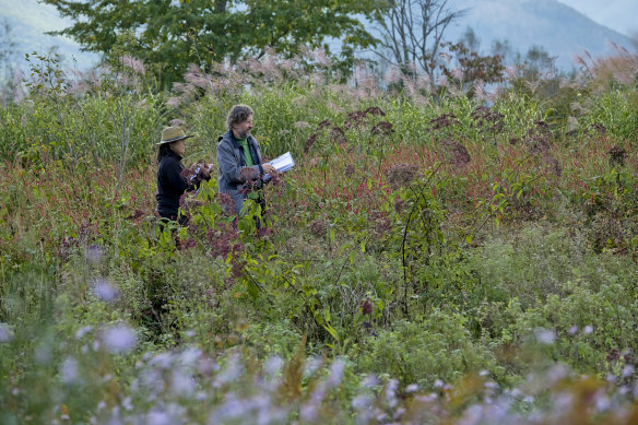 Midori Shintani and Dan Pearson observing the garden in autumn.