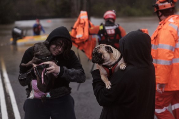 Lansvale residents Jack and Jamarcus, along with their pets Hondo and Buffy are evacuated by the NSW SES Kogarah Unit as floodwaters rise along the Georges River.