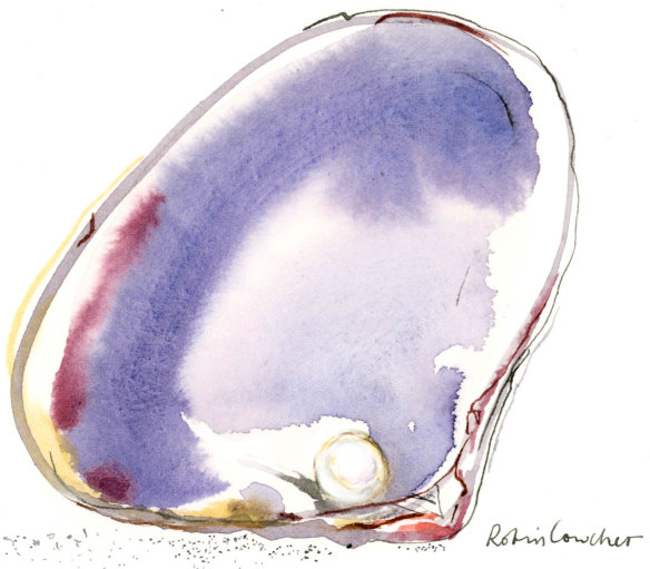 “As I walked I noticed I was scanning the beach for seashells...”