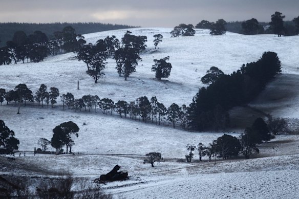 Snow falls across the Central Tablelands, around Oberon and Black Springs, settling on the barren paddocks and dried dams.