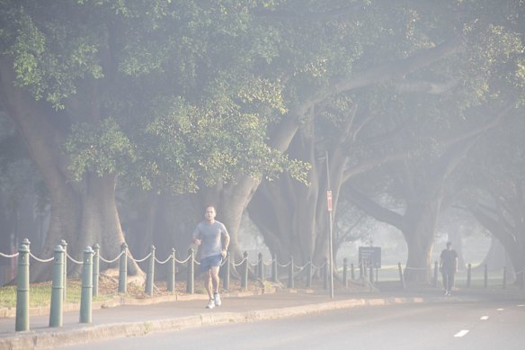 A brave morning jogger at The Domain this morning.