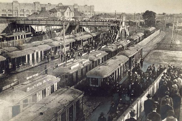 Trams at Randwick racecourse.