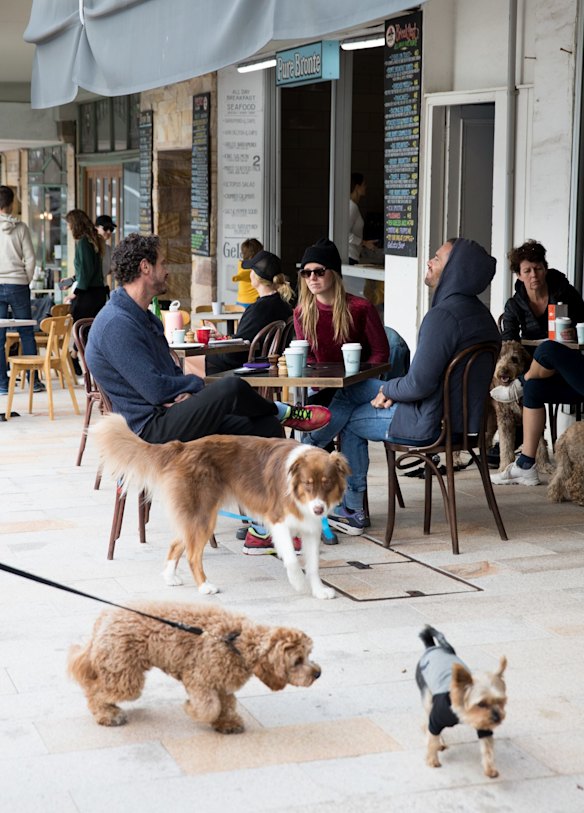 People enjoy the new-found freedom as restrictions are eased.  