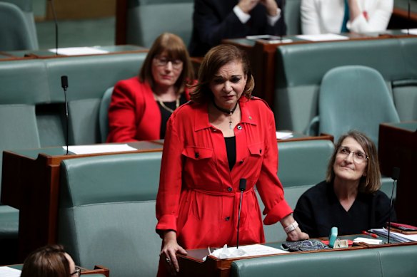 Labor MP Anne Aly speaks as the House of Representatives responds to Senator Fraser Anning's first speech.