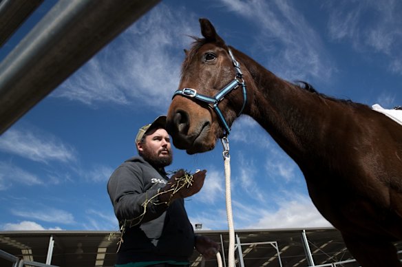 Retired serviceman Clayton Hellyer, who suffers from PTSD, interacts with Vashka, a retired racing horse, as part of a equine therapy program run by Racing NSW in Capertee, NSW.