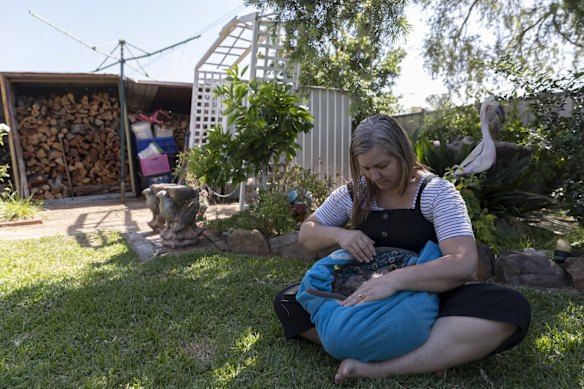 WIRES volunteer Julie Roach holds wombats Lightning and Bolt. Julie and her family were evacuated from Colo Heights and brought animals in their care.