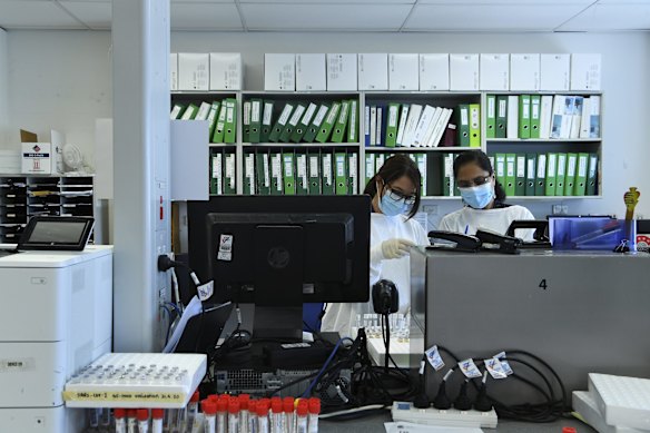 Sonya Bedic and Vidiya Ramachandran sorting coronavirus test samples in the Virology Laboratory.