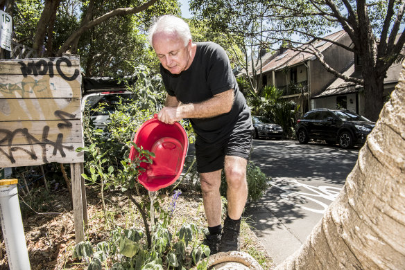Michael Mobbs is an organiser of the Chippendale footpath garden. He uses grey water to keep the fruit trees alive along with many other water saving ways.