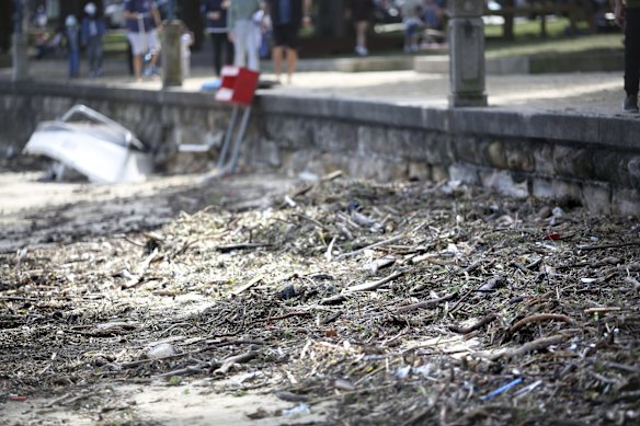 Little Manly Beach on Sunday.