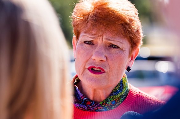  One Nation leader federal leader Pauline Hanson, campaigning for Dale McNamara.