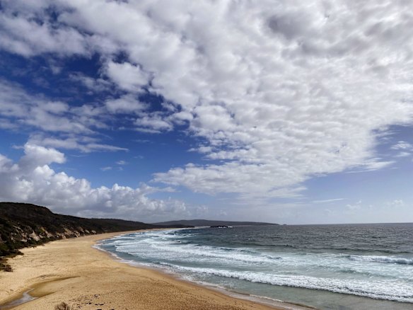 Bournda Beach in south eastern NSW, where campers found Melissa Caddick's decomposed foot and shoe washed up on the remote beach, more than three months after she vanished.
