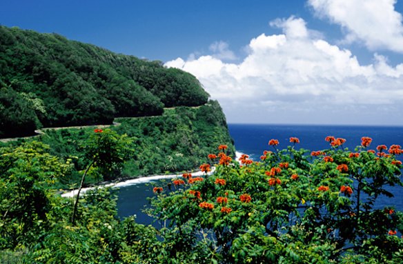 Hana Highway, Maui island, Hawaii. Driving the Hana Highway is like playing snakes and ladders on wheels. Down the beaches, up the ridges and shimmy along the escarpment.