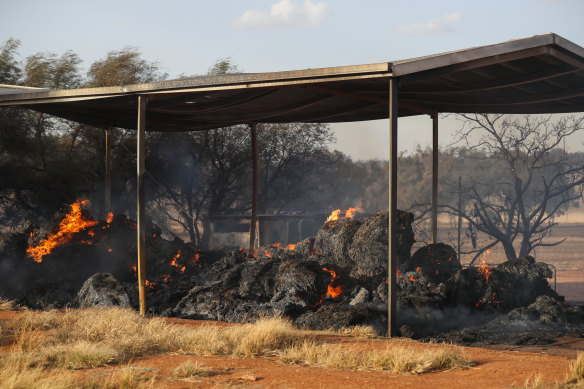 A grass fire destroys a shed, livestock and crops on a property in Brocklesby, NSW.
