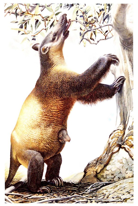 Australian Megafauna