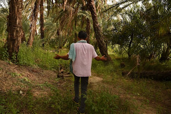 Date palm farmer Naran Gadhavi walks through his palm grove. He claims Adani's operations nearby have devastated his trees.
