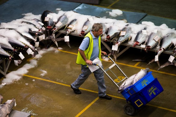 Tuna for sale.