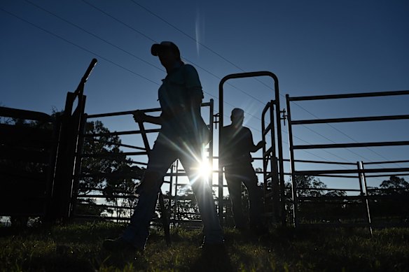 Nic Robertson 52yrs old (left) and her husband Doug Robertson 54yrs old (right) on their cattle farm 'Turanville' near Muswellbrook. Their farm is less than 5km from Dartbrook mine and approximately 4km from the West Muswellbrook exploration lease which has expired.