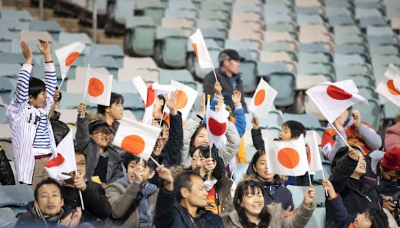 Sunwolves supporters celebrate a try. 