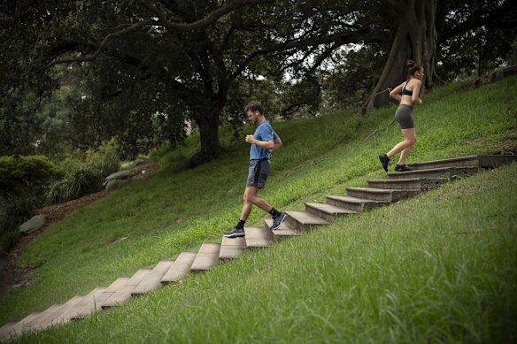 Fleet Steps, Mrs Macquarie's Chair. Often wrongly thought to relate to the arrival of the First Fleet, these steep and long stairs at Mrs Macquarie's Chair were built to celebrate the arrival of the "Great White Fleet" in 1908. 