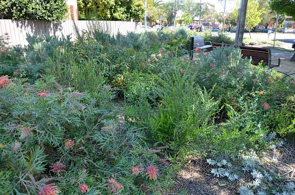 They are also revitalising streetscapes such as this one in Balaclava.