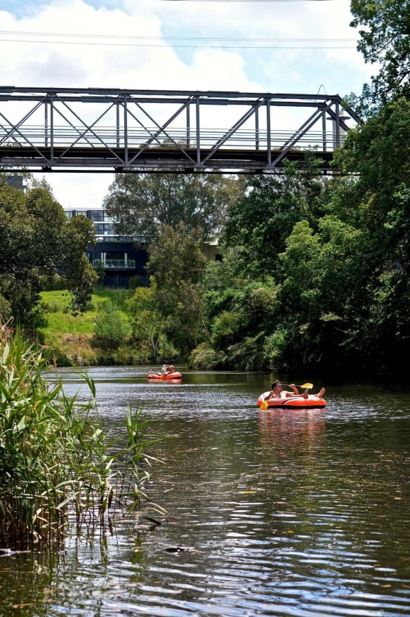 The Yarra is a tidal river that flows slower than walking speed and anything floating on top is sometimes get pushed back upstream.