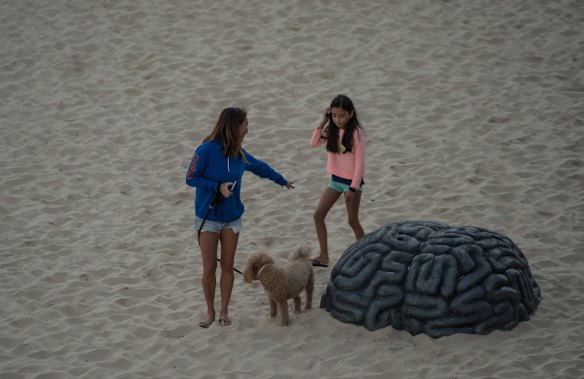 Sculpture by the sea which runs between Bondi to Bronte. 