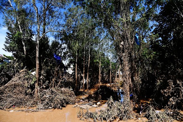 The clean-up continues in downtown Lismore after the worst flood ever recorded in northern NSW.