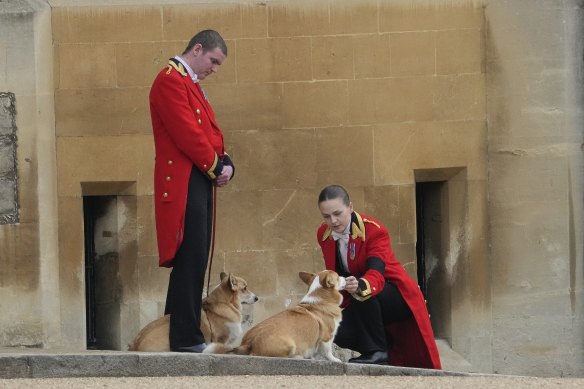 The Queen’s two remaining corgis, Sandy and Muick, wait for the coffin to arrive.