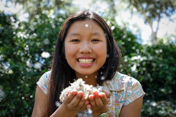 Canberra Times year ender photos - October