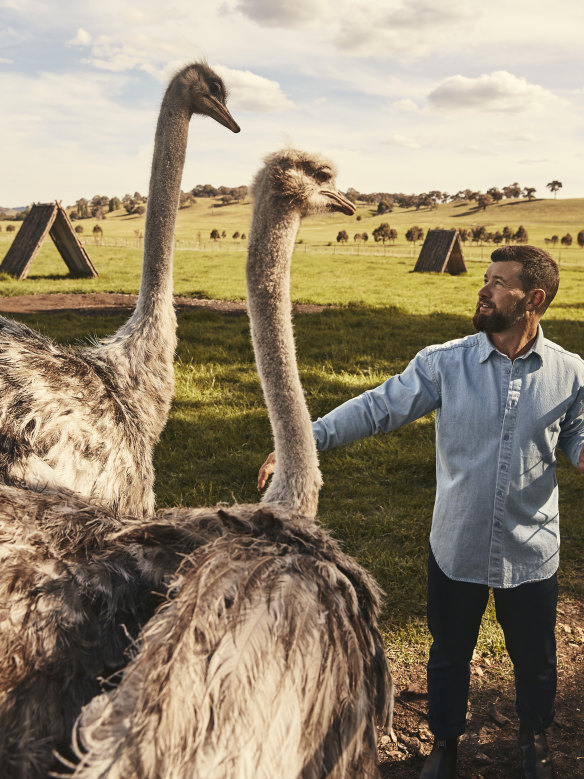 Michael Booth with Rosedale's colour co-ordinated ostriches.
