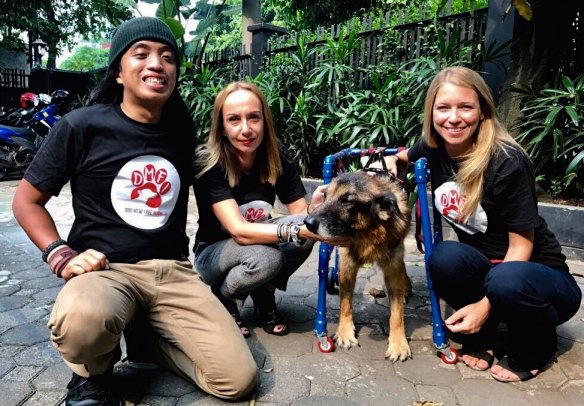 Animal activists with a dog rescued from the meat markets.